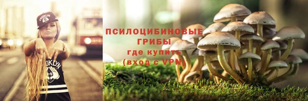 шишки Алексин