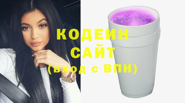 шишки Алексин