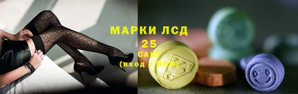 прущий лед Новозыбков
