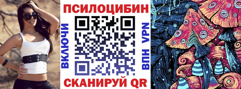 купить  цена  Оленегорск  Псилоцибиновые грибы мицелий 
