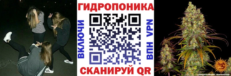 Бошки Шишки VHQ  МЕГА   Оленегорск 